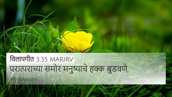 विलापगीत 3:35 MARIRV Bible Verse Image
