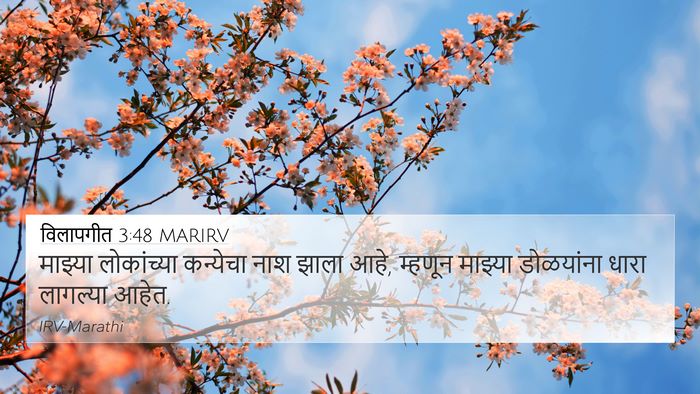 विलापगीत 3:48 MARIRV Bible Verse Image