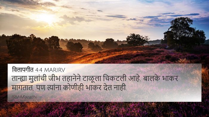 विलापगीत 4:4 MARIRV Bible Verse Image