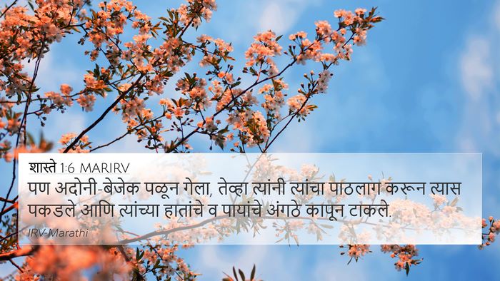 शास्ते 1:6 MARIRV Bible Verse Image