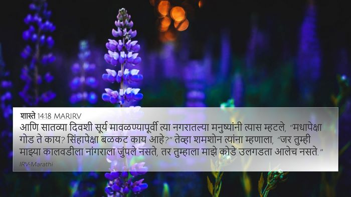 शास्ते 14:18 MARIRV 4K Wallpaper - आणि सातव्या दिवशी - 4K Wallpaper Bible Verse