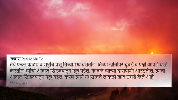सफन्या 2:14 MARIRV Bible Verse Image