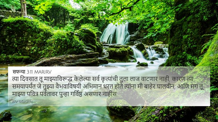 सफन्या 3:11 MARIRV Bible Verse Image