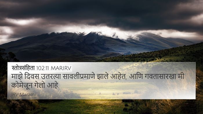 स्तोत्रसंहिता 102:11 MARIRV Bible Verse Image