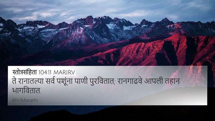 स्तोत्रसंहिता 104:11 MARIRV Bible Verse Image