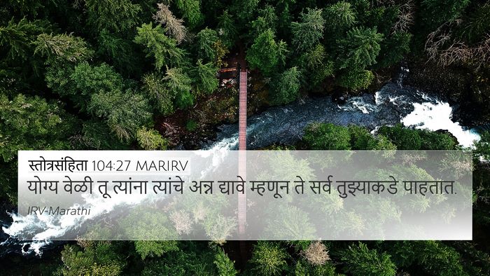 स्तोत्रसंहिता 104:27 MARIRV Bible Verse Image