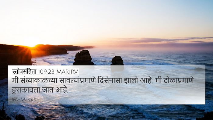 स्तोत्रसंहिता 109:23 MARIRV Bible Verse Image