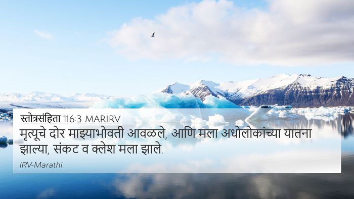 स्तोत्रसंहिता 116:3 MARIRV Bible Verse Image
