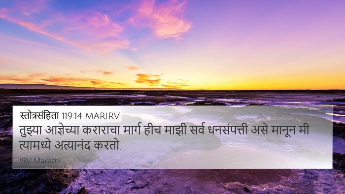 स्तोत्रसंहिता 119:14 MARIRV Bible Verse Image