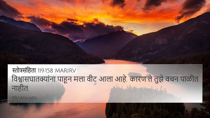 स्तोत्रसंहिता 119:158 MARIRV Bible Verse Image