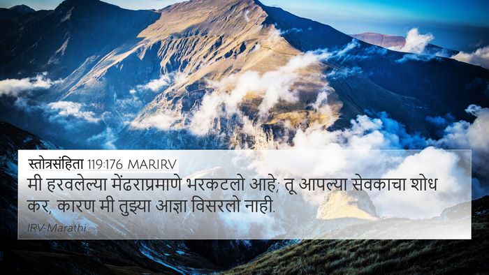 स्तोत्रसंहिता 119:176 MARIRV Bible Verse Image