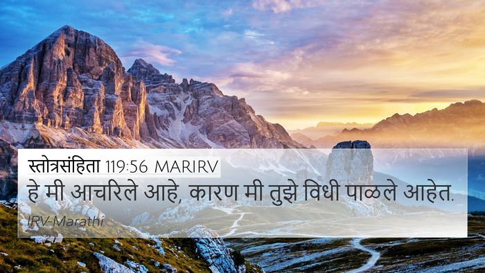 स्तोत्रसंहिता 119:56 MARIRV 4K Wallpaper - हे मी आचरिले आहे, - 4K Wallpaper Bible Verse