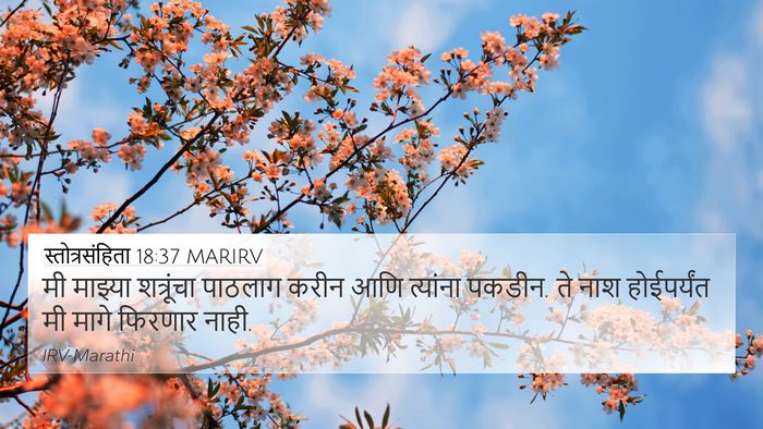 स्तोत्रसंहिता 18:37 MARIRV Bible Verse Image