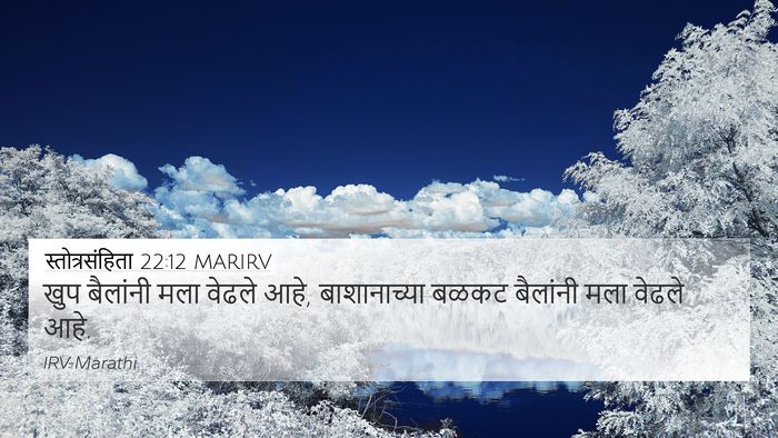 स्तोत्रसंहिता 22:12 MARIRV Bible Verse Image