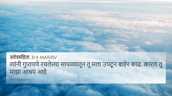 स्तोत्रसंहिता 31:4 MARIRV 4K Wallpaper - त्यांनी गुप्तपणे - 4K Wallpaper Bible Verse