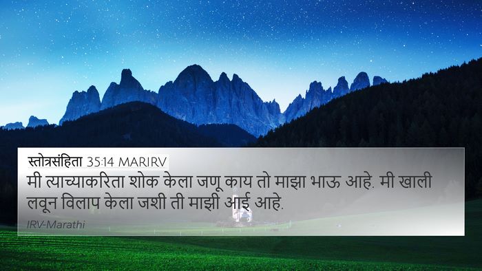 स्तोत्रसंहिता 35:14 MARIRV Bible Verse Image