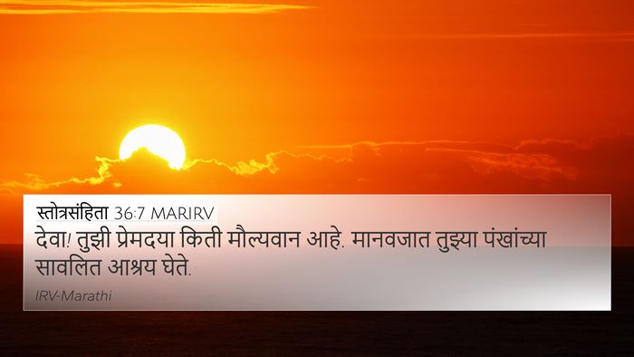 स्तोत्रसंहिता 36:7 MARIRV Bible Verse Image