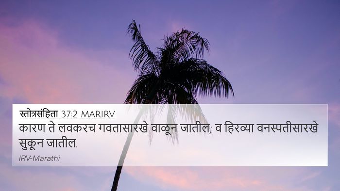 स्तोत्रसंहिता 37:2 MARIRV Bible Verse Image