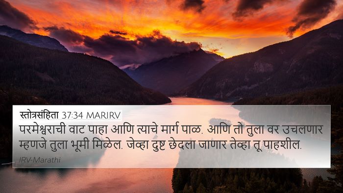 स्तोत्रसंहिता 37:34 MARIRV Bible Verse Image