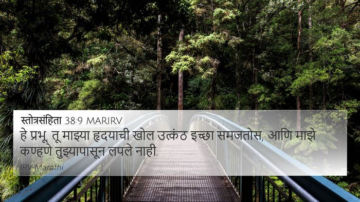 स्तोत्रसंहिता 38:9 MARIRV Bible Verse Image