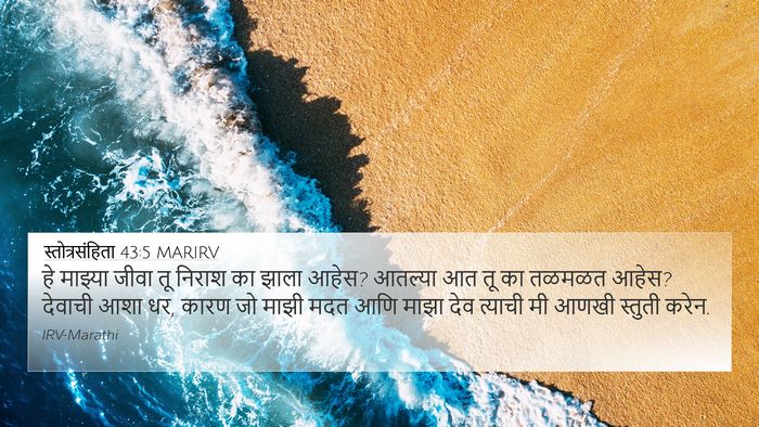 स्तोत्रसंहिता 43:5 MARIRV Bible Verse Image