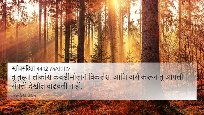 स्तोत्रसंहिता 44:12 MARIRV Bible Verse Image