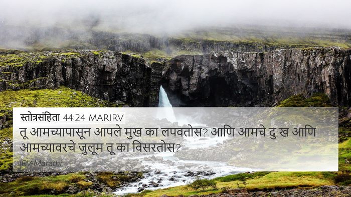 स्तोत्रसंहिता 44:24 MARIRV Bible Verse Image