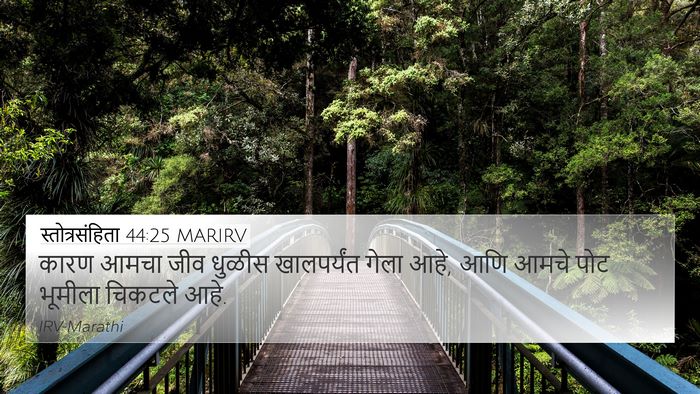 स्तोत्रसंहिता 44:25 MARIRV Bible Verse Image