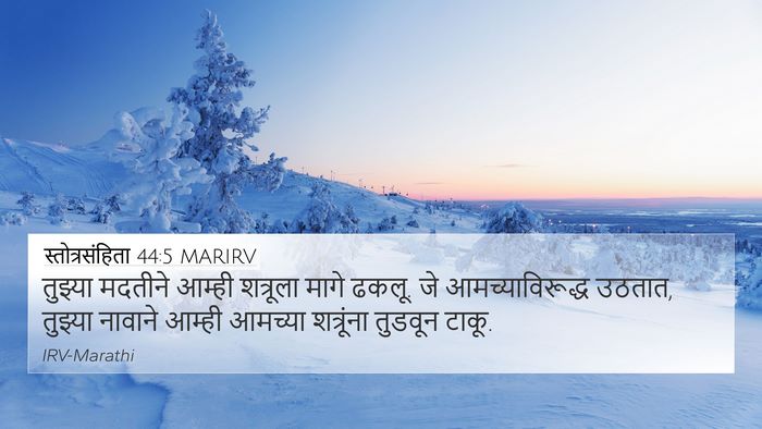 स्तोत्रसंहिता 44:5 MARIRV Bible Verse Image