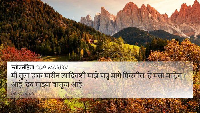 स्तोत्रसंहिता 56:9 MARIRV Bible Verse Image