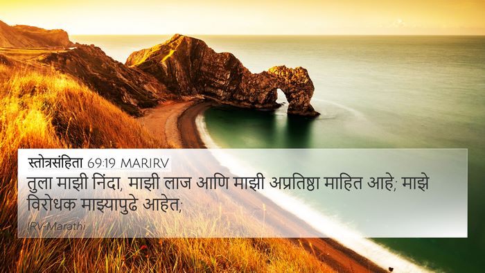 स्तोत्रसंहिता 69:19 MARIRV Bible Verse Image