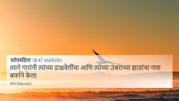 स्तोत्रसंहिता 78:47 MARIRV Bible Verse Image