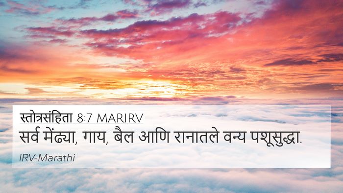 स्तोत्रसंहिता 8:7 MARIRV 4K Wallpaper - सर्व मेंढ्या, गाय, - 4K Wallpaper Bible Verse