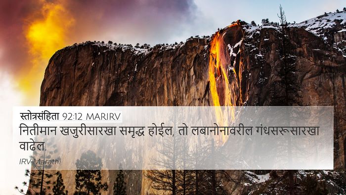 स्तोत्रसंहिता 92:12 MARIRV Bible Verse Image