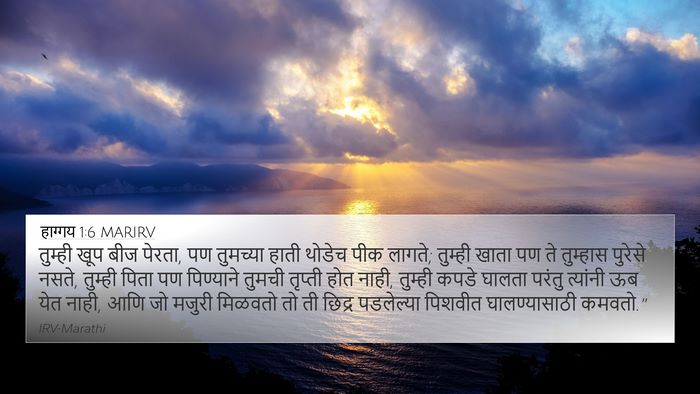 हाग्गय 1:6 MARIRV Bible Verse Image