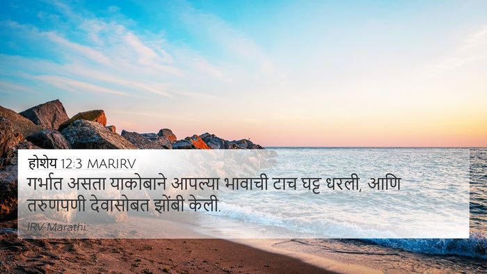 होशेय 12:3 MARIRV Bible Verse Image