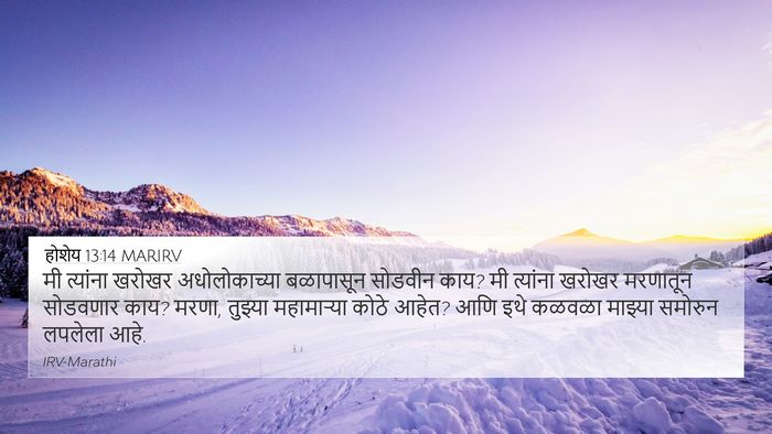 होशेय 13:14 MARIRV Bible Verse Image