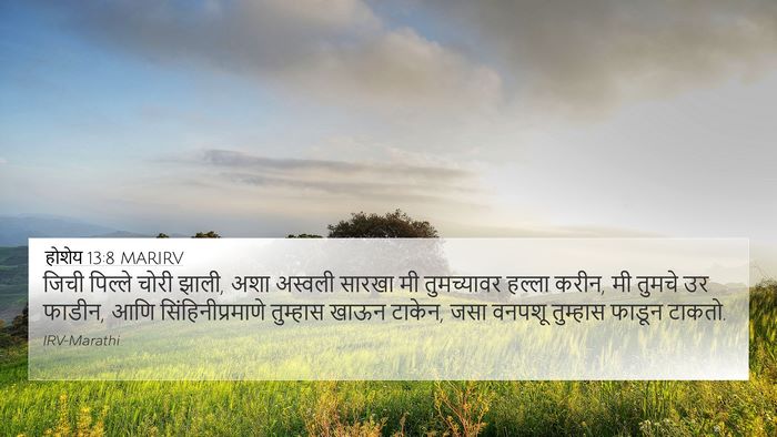 होशेय 13:8 MARIRV Bible Verse Image