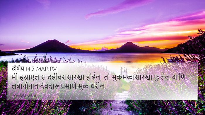 होशेय 14:5 MARIRV Bible Verse Image