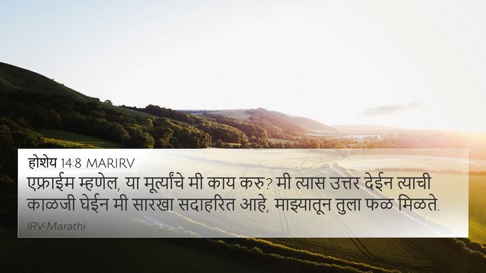 होशेय 14:8 MARIRV Bible Verse Image