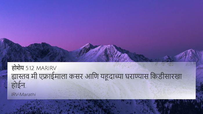 होशेय 5:12 MARIRV Bible Verse Image