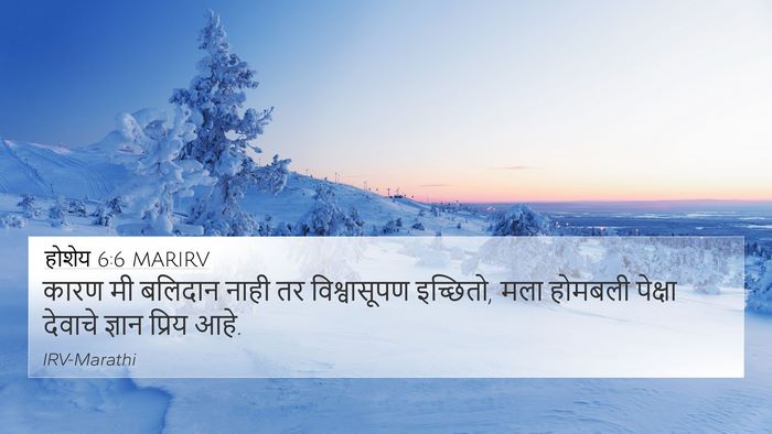 होशेय 6:6 MARIRV Bible Verse Image