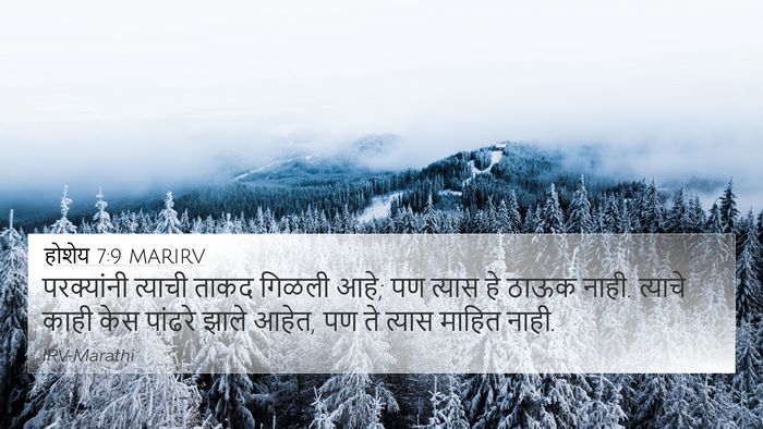 होशेय 7:9 MARIRV Bible Verse Image