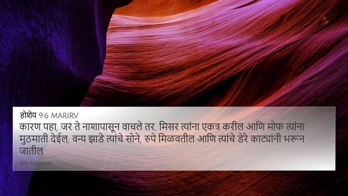 होशेय 9:6 MARIRV Bible Verse Image