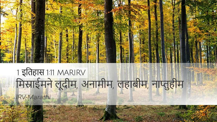 1 इतिहास 1:11 MARIRV Desktop Wallpaper - मिस्राईमने लूदीम, - Desktop Bible Verse Wallpaper