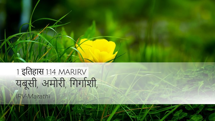 1 इतिहास 1:14 MARIRV Desktop Wallpaper - यबूसी, अमोरी, - Desktop Bible Verse Wallpaper