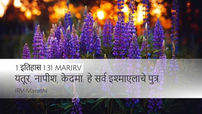 1 इतिहास 1:31 MARIRV Bible Verse Image