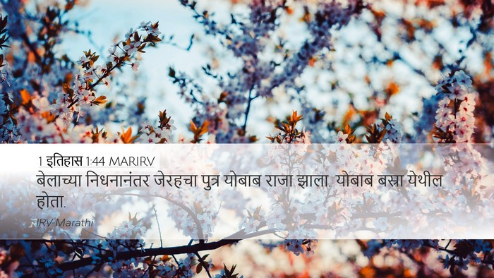 1 इतिहास 1:44 MARIRV Desktop Wallpaper - बेलाच्या - Desktop Bible Verse Wallpaper