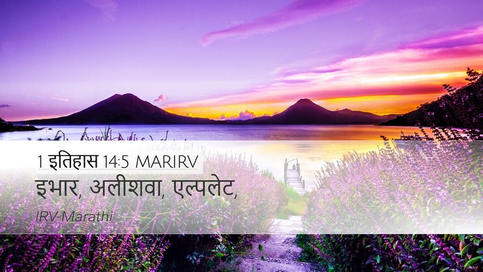 1 इतिहास 14:5 MARIRV Bible Verse Image