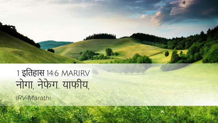 1 इतिहास 14:6 MARIRV Desktop Wallpaper - नोगा, नेफेग. - Desktop Bible Verse Wallpaper